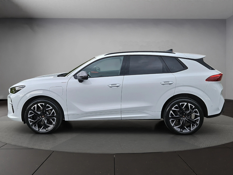 4x RUOTE 19 Invernali CUPRA TERRAMAR Michelin 255/45 R19