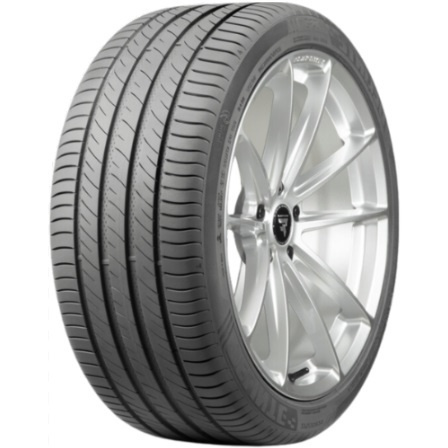 Neumáticos Delinte DS 2 XL 205/50 R17 93W