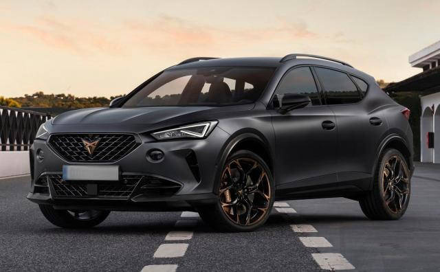 4x RUOTE 19 Invernali CUPRA TERRAMAR Michelin 255/45 R19